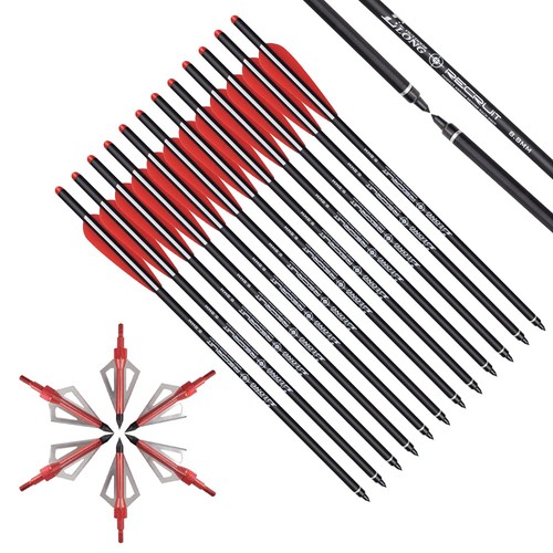 Flèches arbalète de 16 - d'arbalète,