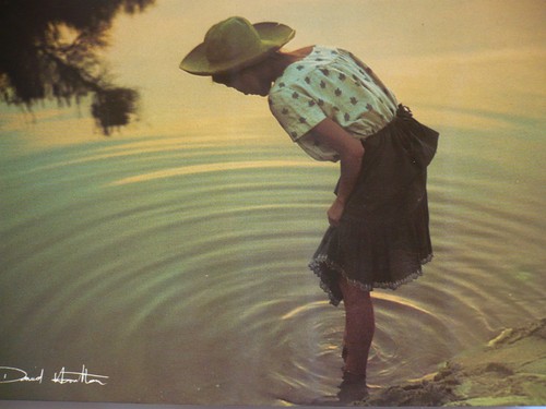 Carte postale david - carte,