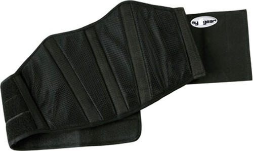 Fascia elastic lombare - fascia,