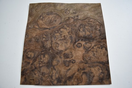 Burr burl noce foglio vero - burr, /