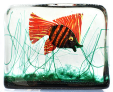 Blocco serbatoio pesci rosso