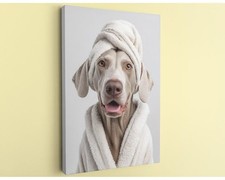 Weimaraner Tela Arte