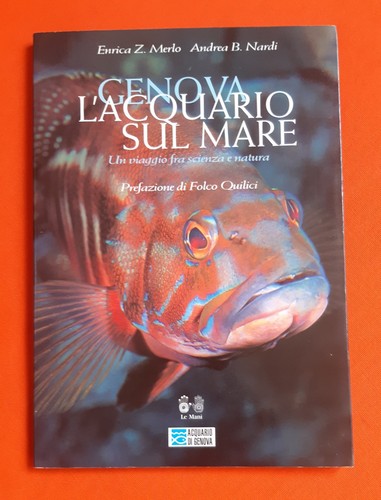 Enrica merlo andrea b - enrica,