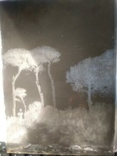 Antica Lastra Fotografica