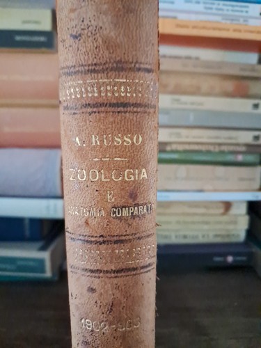 Zoologia anatomia comparata - zoologia, e