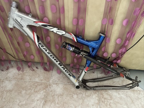 Cuadro razor back team - back,