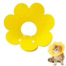 Collare elisabettiano