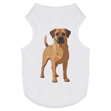 Rhodesian ridgeback dog - 'rhodesian,