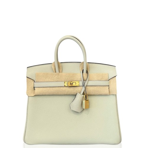 Hermes birkin gris neve - 25,
