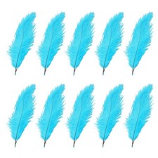 10 Pezzi Di Piume Naturali Di