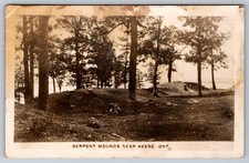 Cartolina rppc c1920s serpent - c1920s,