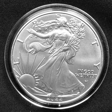 2022  american silver eagle