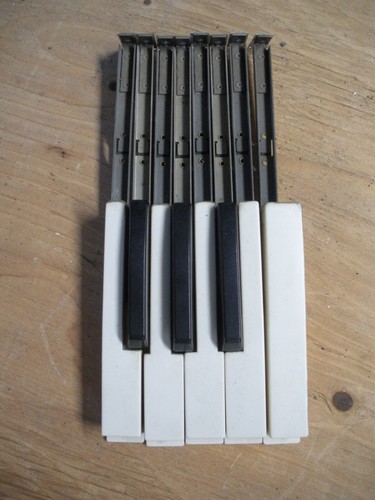 Ricambi organo hammond set - organo, di