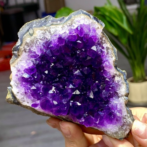 320g ametista naturale geode - ametista,