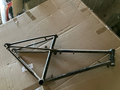 Bianchi aquilotto sport - ,