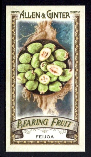 Feijoa 2022 topps allen - feijoa,