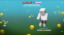 Minecraft chasing chickens - chasing,