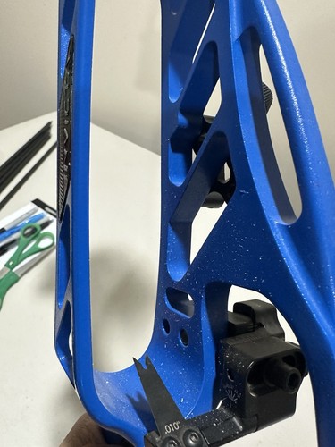 Hoyt invicta - hoyt,