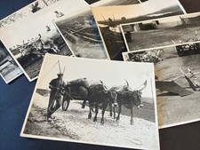 7 fotografia gelatina ai sali