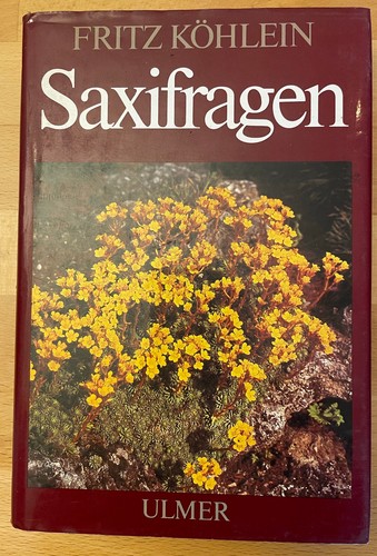 Saxifragen und andere