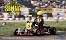 Plastic model 1/20 Ayrton
