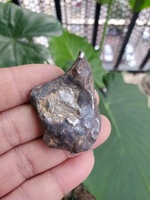 Esemplare di meteorite in