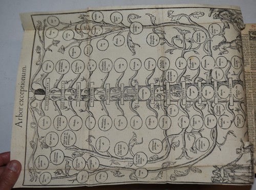 Digestum novum fig 1558 - digestum,
