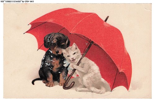 Car adzp9 0520 - car-adzp9-0520-animali,