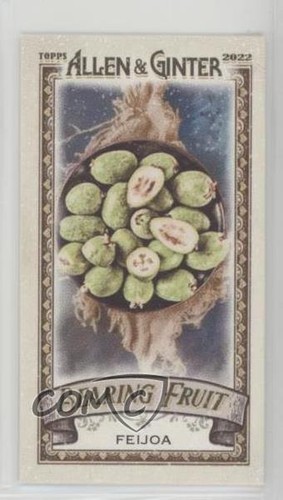2022 topps allen - topps, ginter