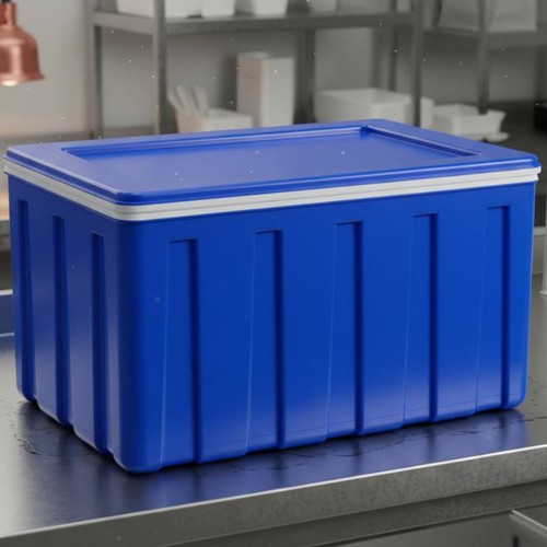 Box isotermico grande senza - box,