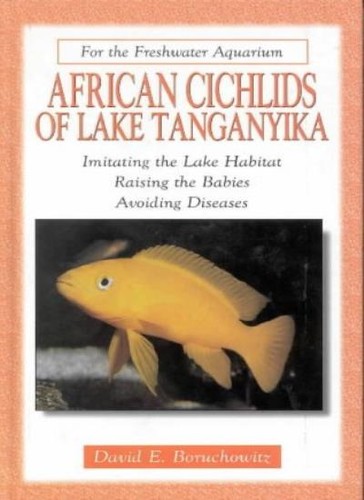 African cichlids lake - cichlids,
