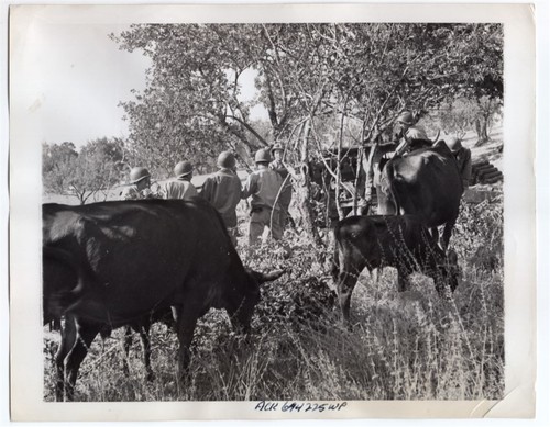 1943 artiglieria usa azione - 1943,