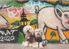 Hotel Nikko San Francisco 2