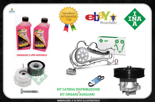 Kit catena distribuzione fiat - kit,
