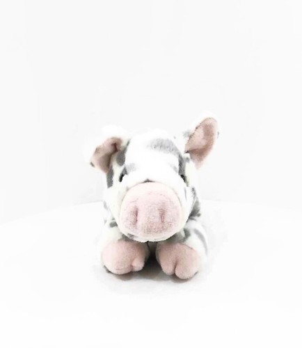 Regalo - (idea, regalo):