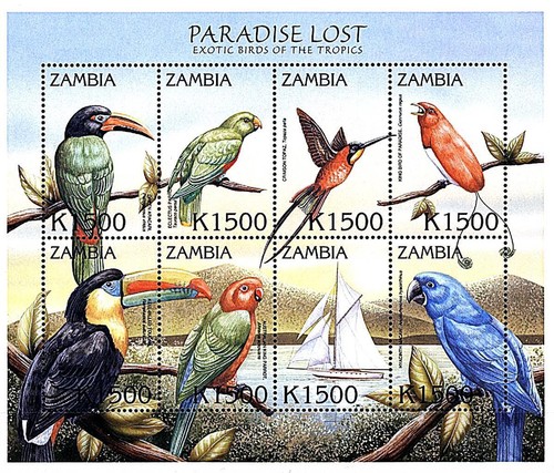 Zambia 2000 uccelli s - 2000, m/s