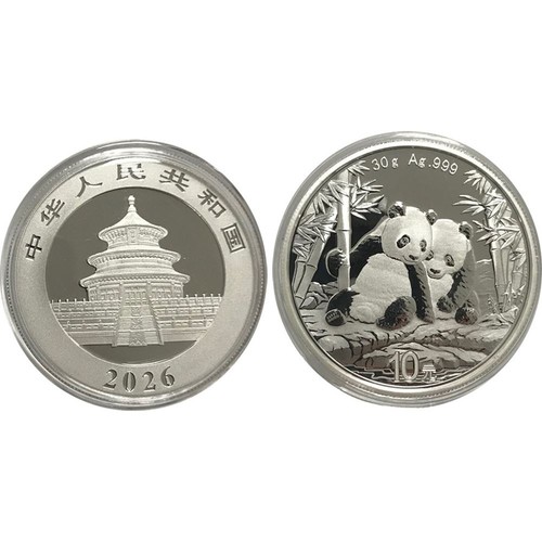 Yuan cina 2026 argento - in,