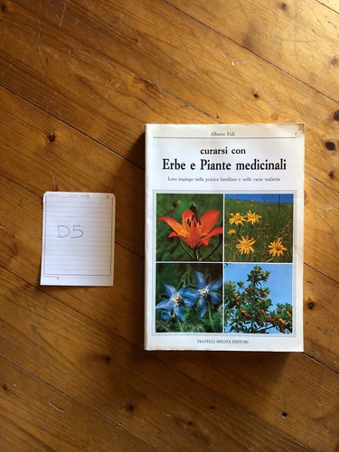 Curarsi con erbe - e, piante