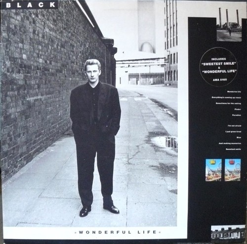 Black wonderful life - wonderful,