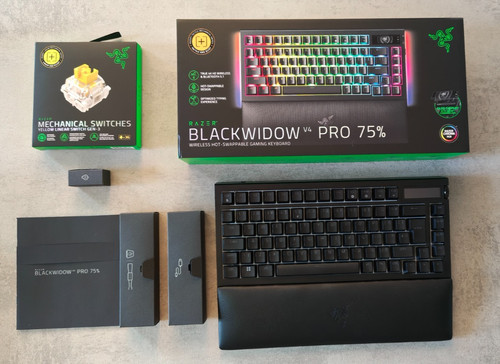 Razer blackwidow pro - blackwidow, 75%