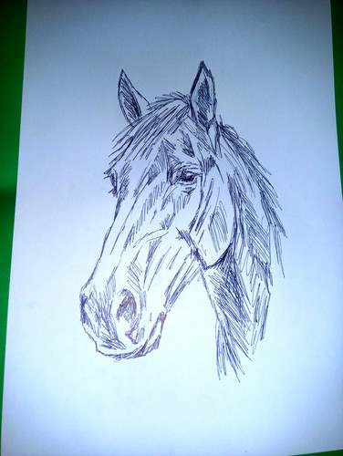 Disegno cavallo fumetto arte - disegno, a