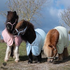Mini Pony Shetland Tappeto in