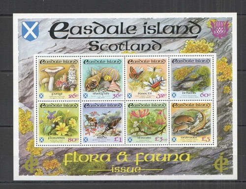 Nw382 scozia flora fauna - scozia,