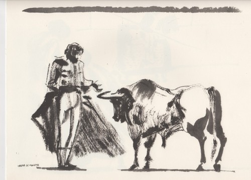 Aligi sassu corrida - -,
