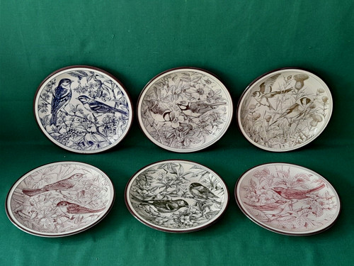 Set piatti gli amici del - amici,