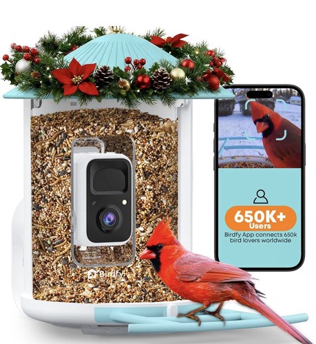 Netvue birdfy alimentatore - birdfy,