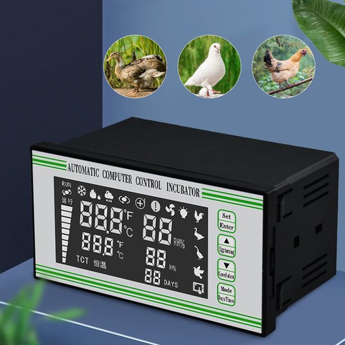 Regolatore incubatrice uova - incubatrice,
