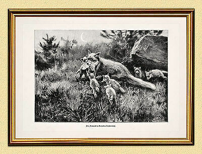 Quadro caccia banchetto - quadro,