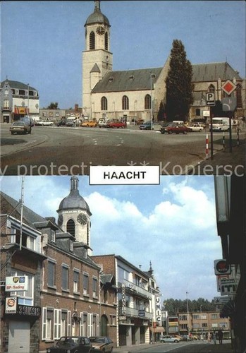 Mercato haacht - mercato,