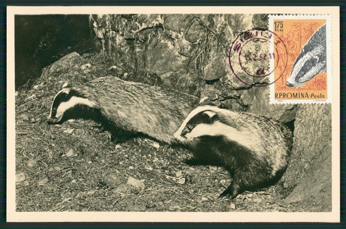 Romania 1962 fauna - mk,